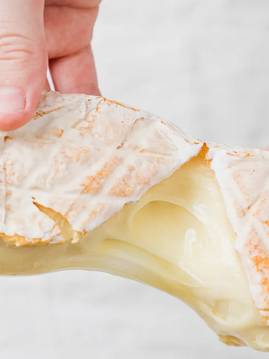 Woombye Cheese Company Banner.jpg