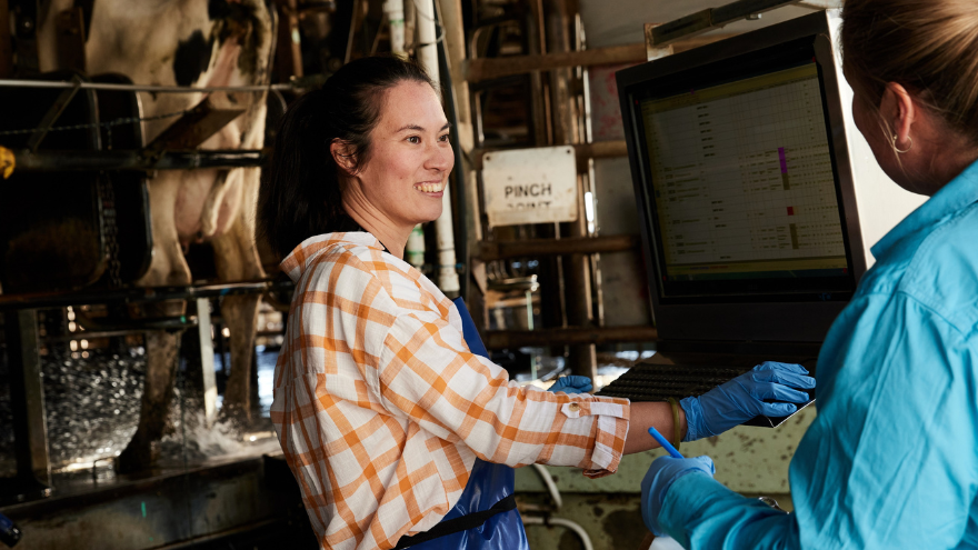 Farmer, worker, Dairy Jos Matter, jobs, workforce attraction