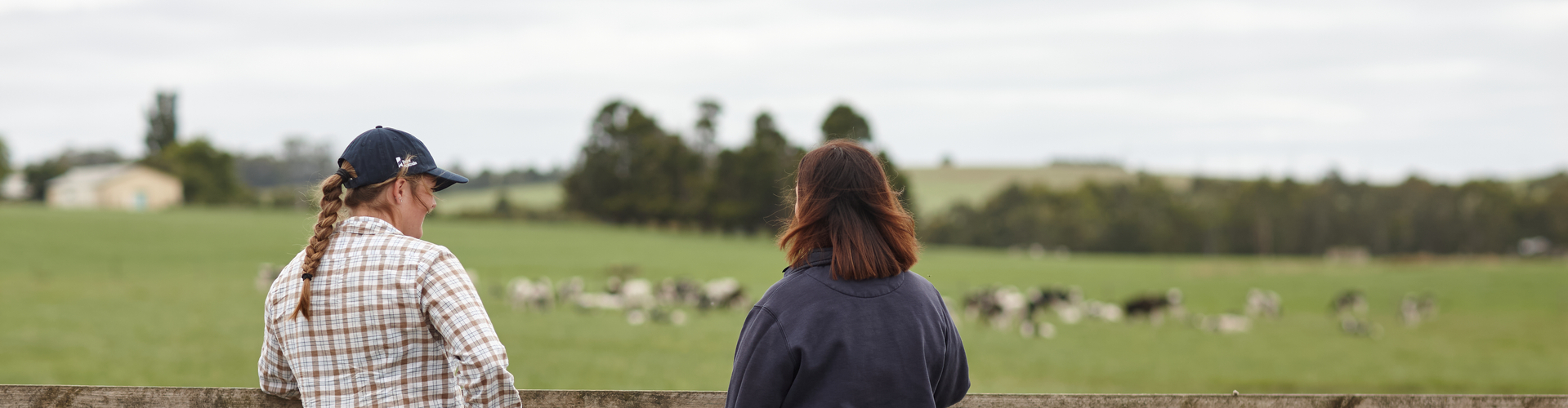 Farmers talking on farm 