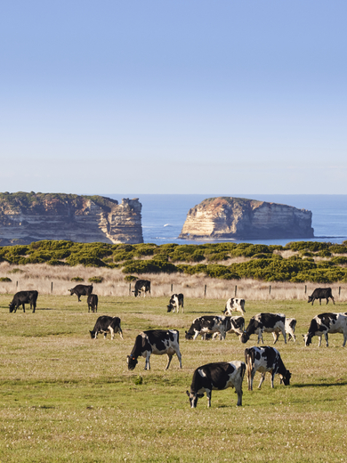Thrive Together Manifesto Shoot May 2022