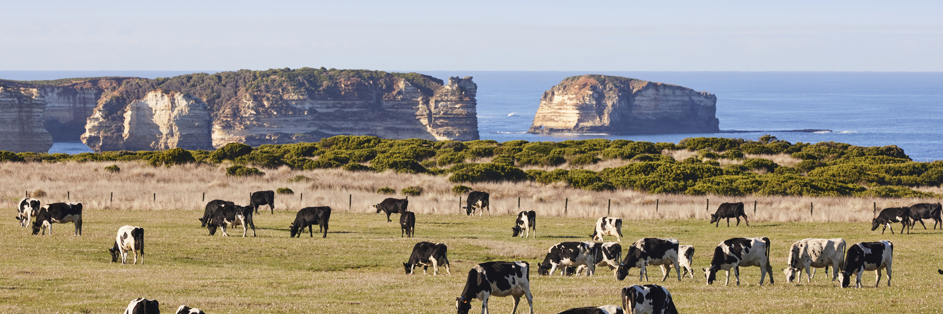 Thrive Together Manifesto Shoot May 2022