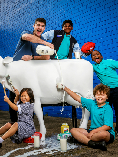 Picasso Cows EOI imagery.jpg