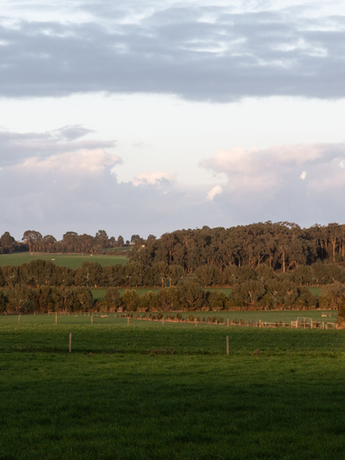 Gippsland winter morning