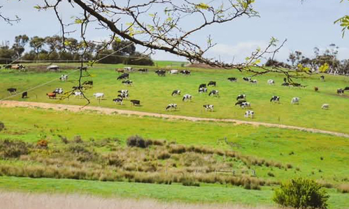 Welcome Springs -2.jpg