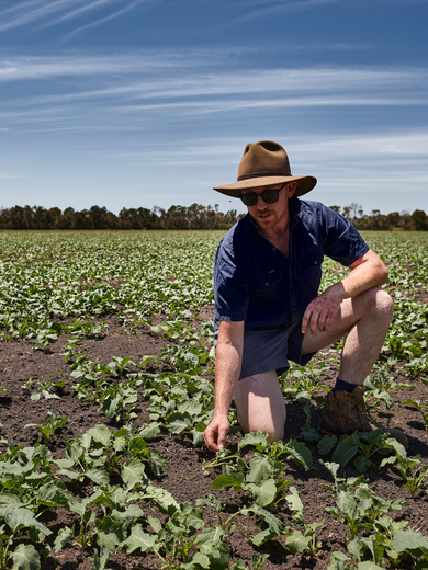 Farmer in field of crops