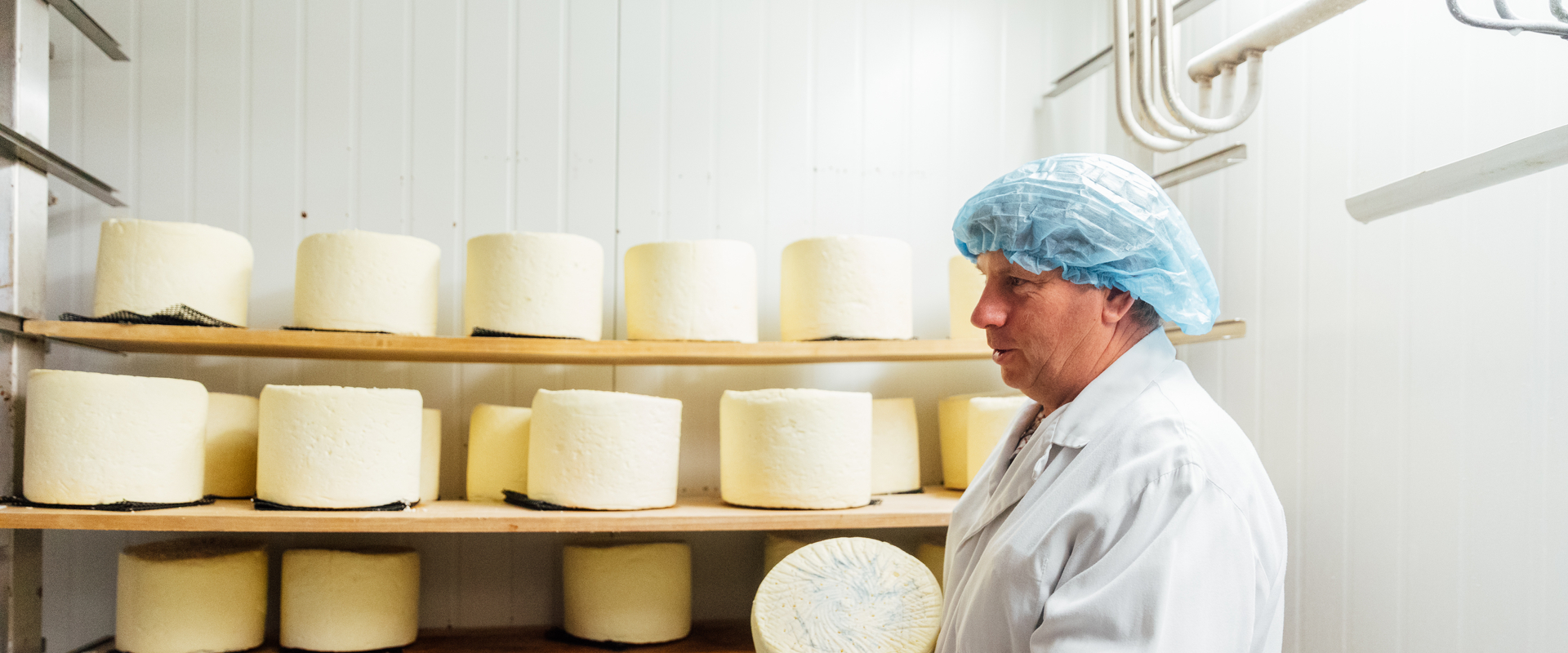 Cheese maker and cheese