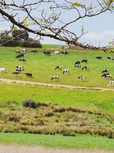 Welcome Springs -2.jpg