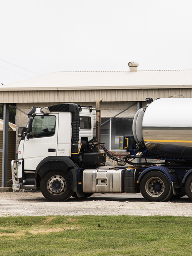 Milk tanker