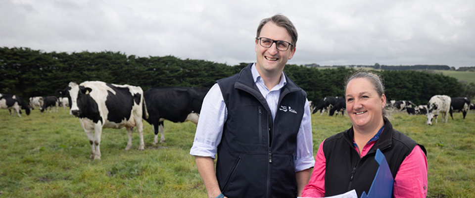 Man and woman holding folder looking into the distance. Cows behind them.
