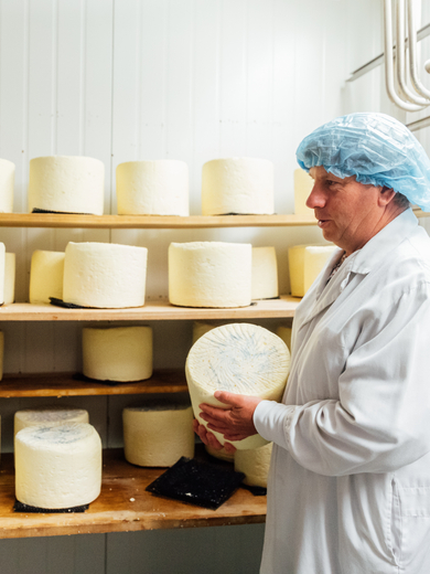 Cheese maker and cheese