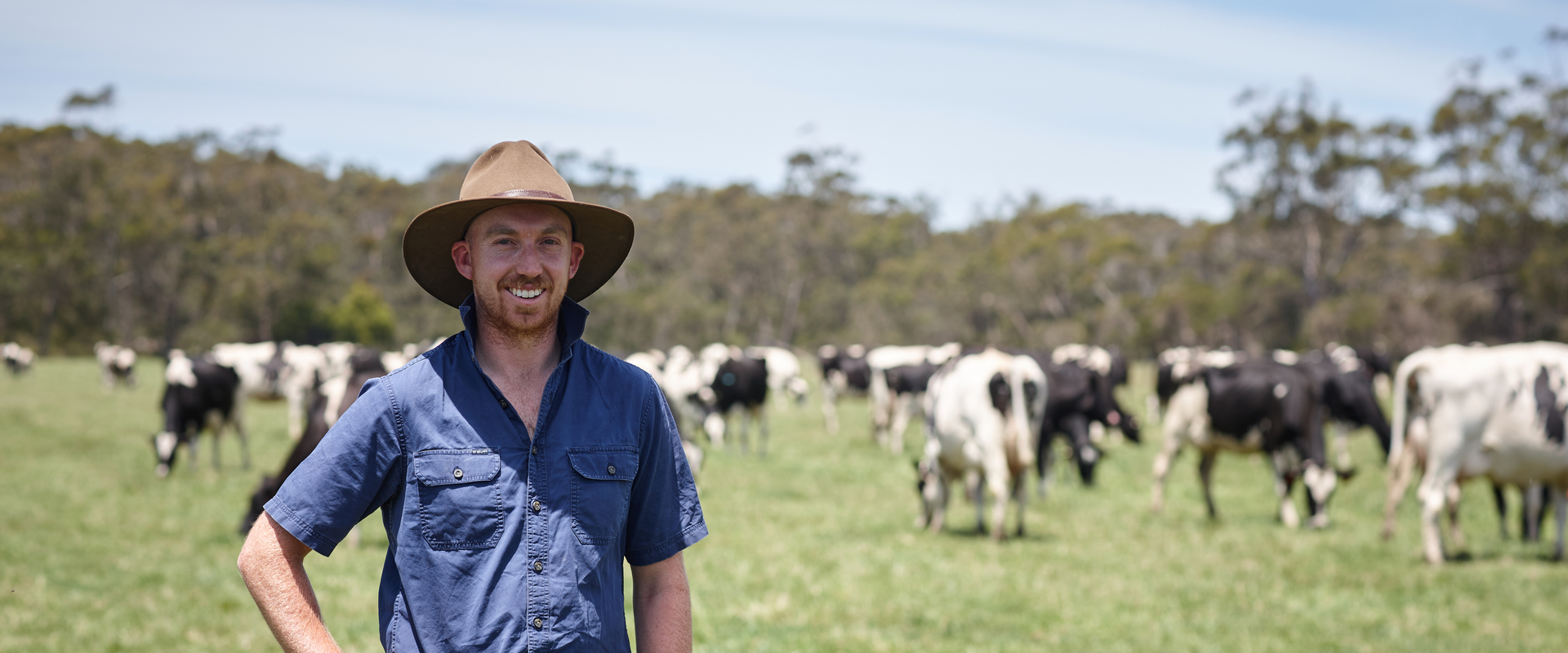 Farmer on paddock with cows