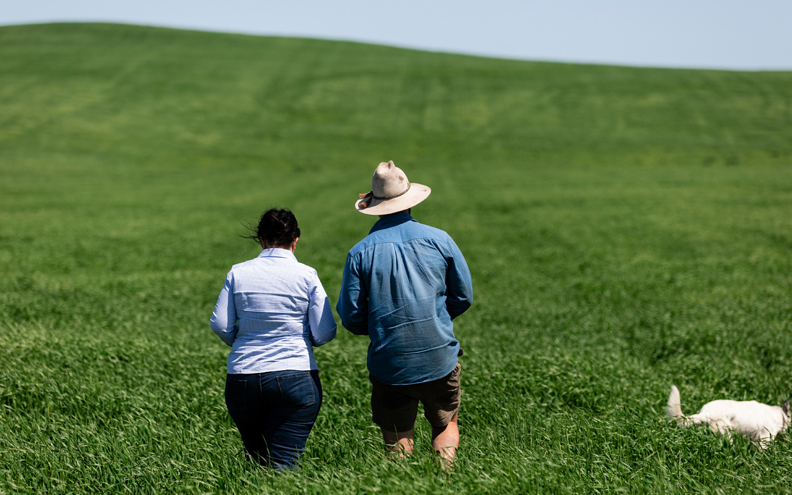 A man and a woman standing in green pasture