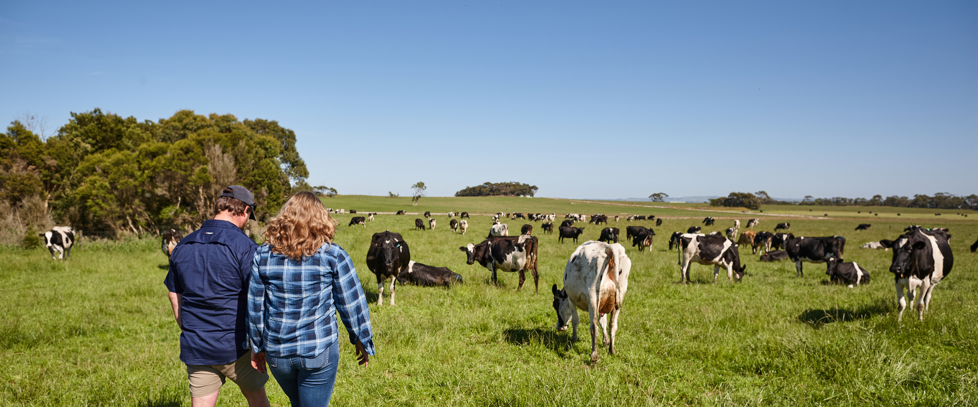 Farmers on paddock in Gippsland