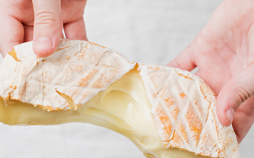 Woombye Cheese Company Banner.jpg