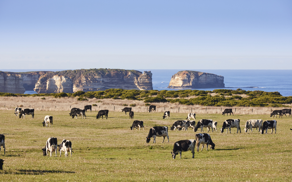 Thrive Together Manifesto Shoot May 2022