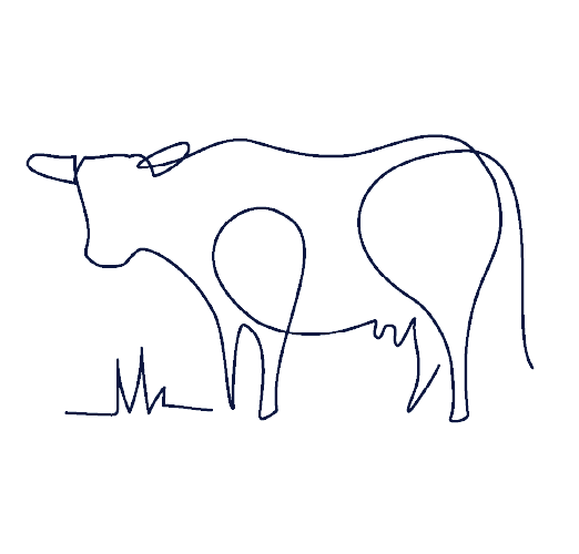 Cow - Line drawing.png
