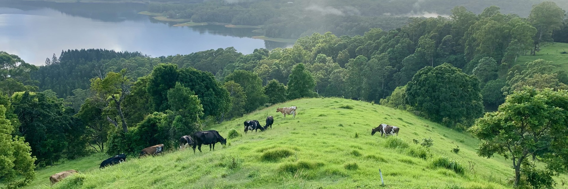 Wittacork Dairy Cottages.jpeg