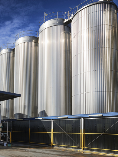 australian dairy companies