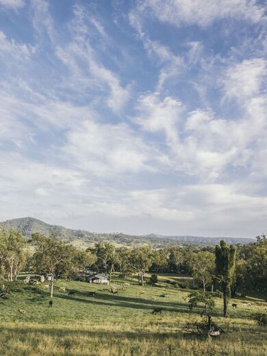 Tommerups dairy farm