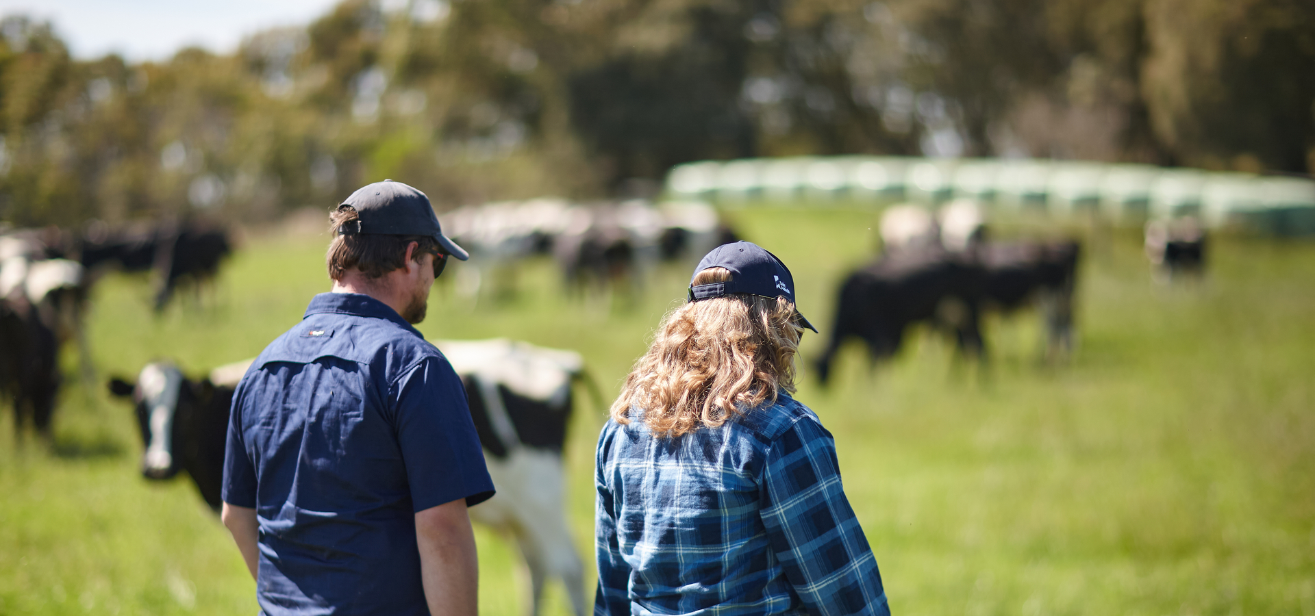 Farmers on paddock in Gippsland