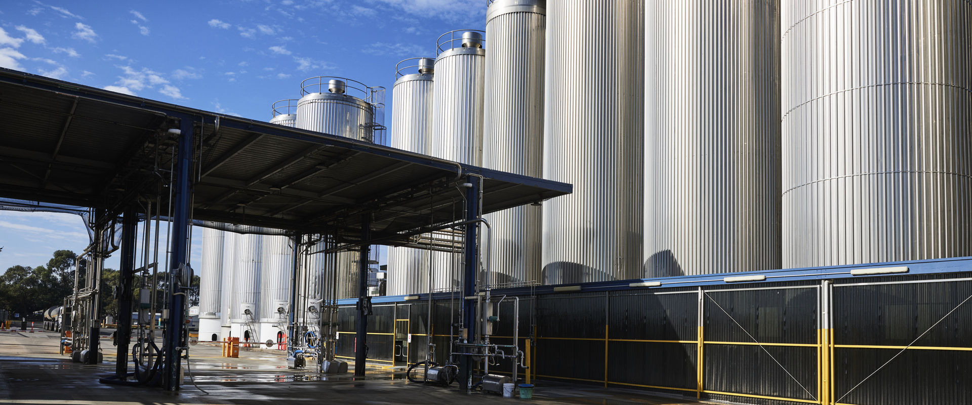 australian dairy companies