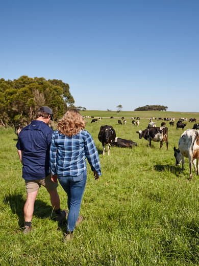 Farmers on paddock in Gippsland