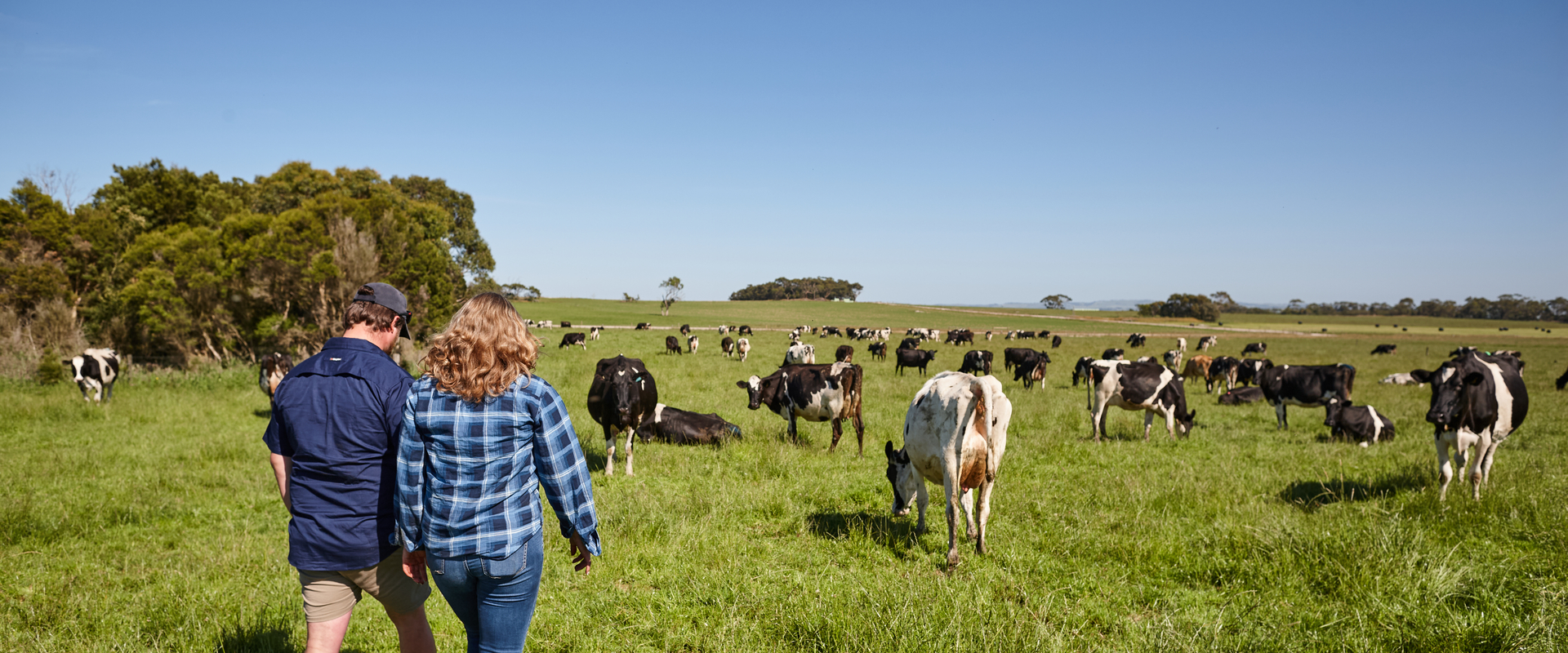 Farmers on paddock in Gippsland