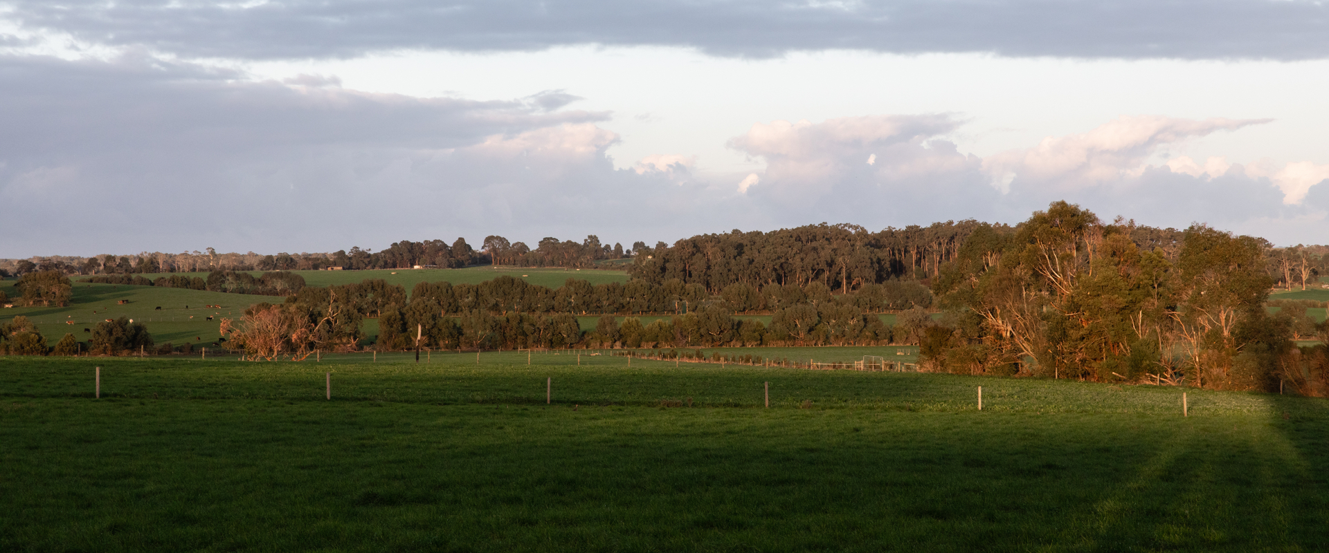 Gippsland winter morning