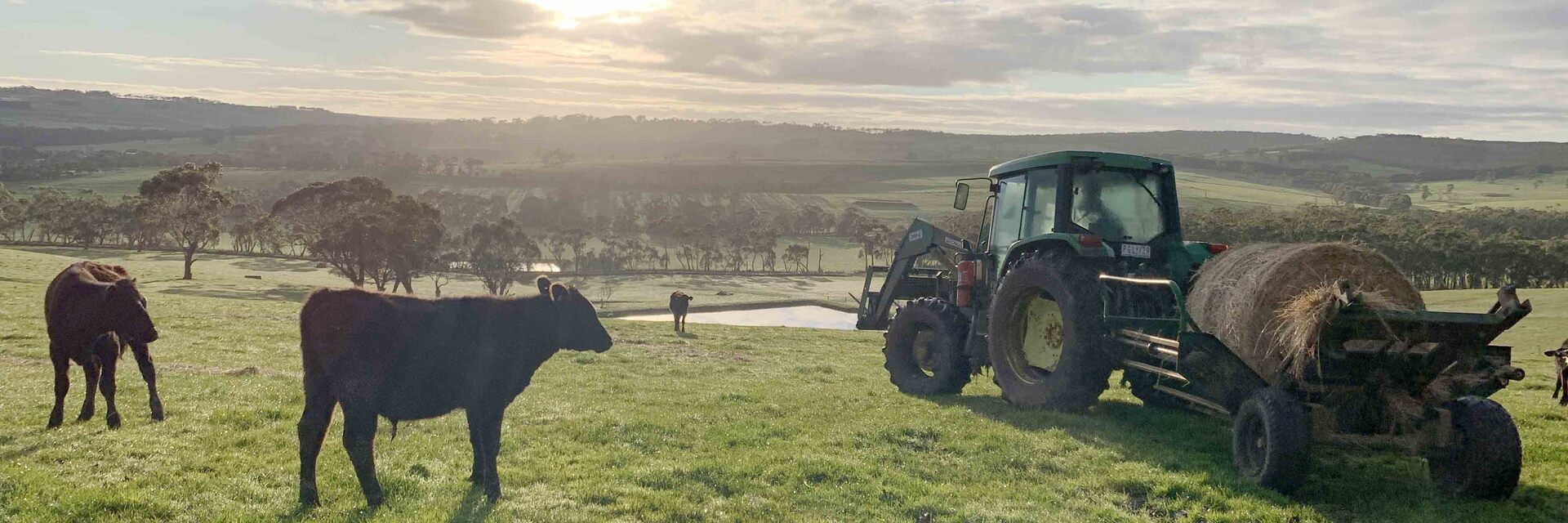 Bellevue Farmstay.jpg