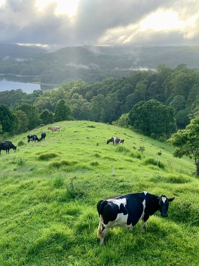 Wittacork Dairy Cottages.jpeg