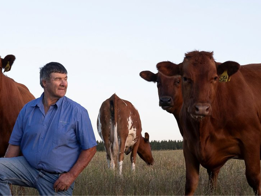 Content - Farmer article (Hamiltons, SA).png