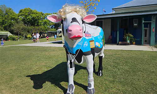 Bexhill Public School - Moodonna.jpg