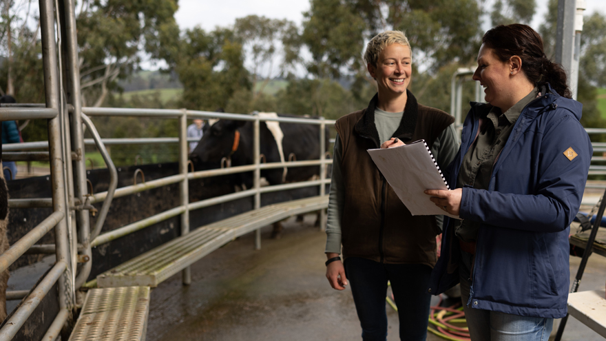 Two people standing side by side, holding and discussing a folder